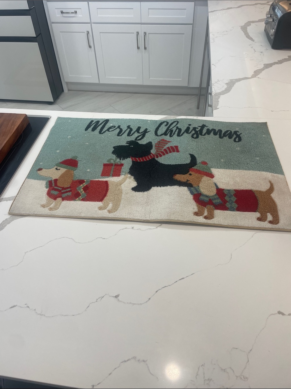 Festive Merry Christmas Dog Doormat - Green and Red